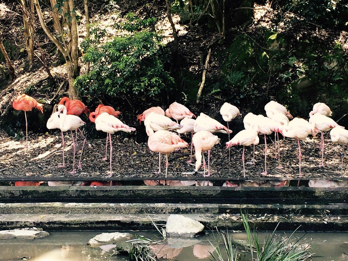 🌳 오사키 공원(오사키 코엔) 이미지 7